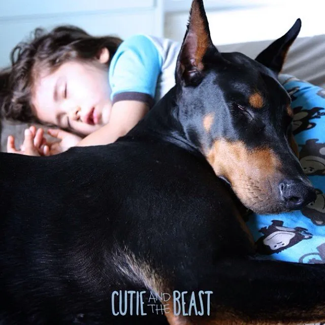 Bộ ảnh gây sốt về cô bé Sienna và chú chó Doberman ảnh 9 Bộ ảnh gây sốt về cô bé Sienna và chú chó Doberman ảnh 9