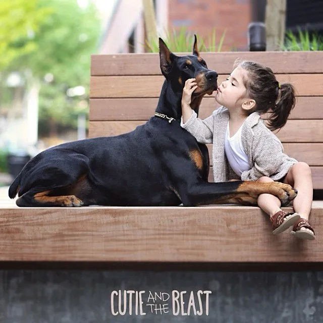 Bộ ảnh gây sốt về cô bé Sienna và chú chó Doberman ảnh 18 Bộ ảnh gây sốt về cô bé Sienna và chú chó Doberman ảnh 18