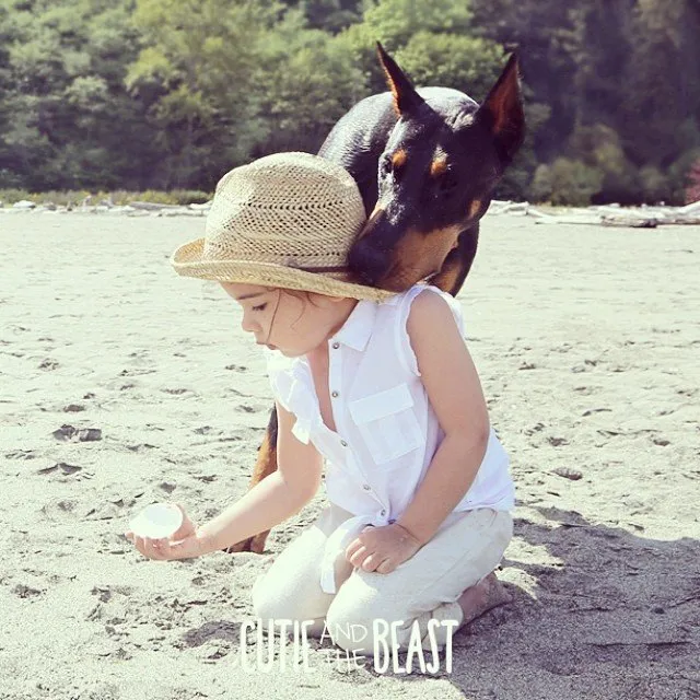 Bộ ảnh gây sốt về cô bé Sienna và chú chó Doberman ảnh 3 Bộ ảnh gây sốt về cô bé Sienna và chú chó Doberman ảnh 3