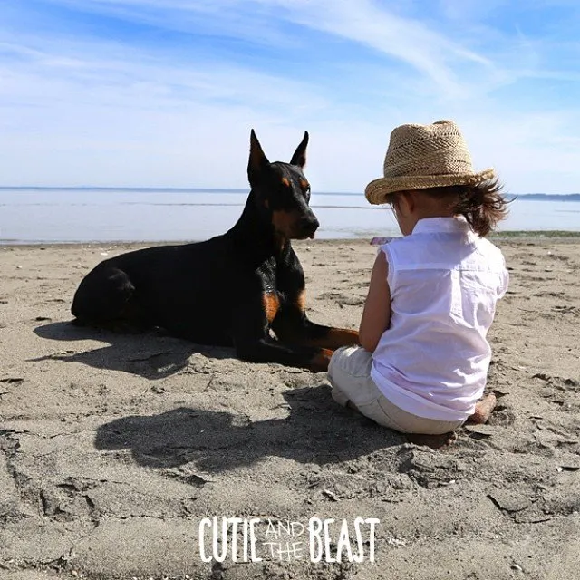Bộ ảnh gây sốt về cô bé Sienna và chú chó Doberman ảnh 6 Bộ ảnh gây sốt về cô bé Sienna và chú chó Doberman ảnh 6