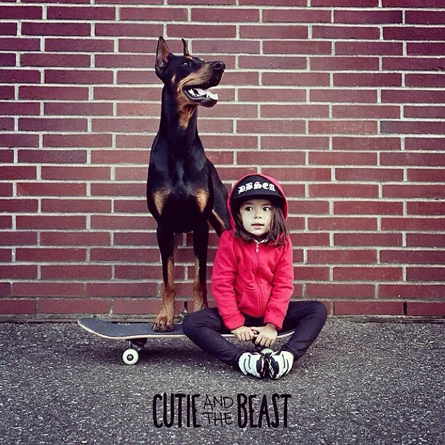 Bộ ảnh gây sốt về cô bé Sienna và chú chó Doberman ảnh 13 Bộ ảnh gây sốt về cô bé Sienna và chú chó Doberman ảnh 13