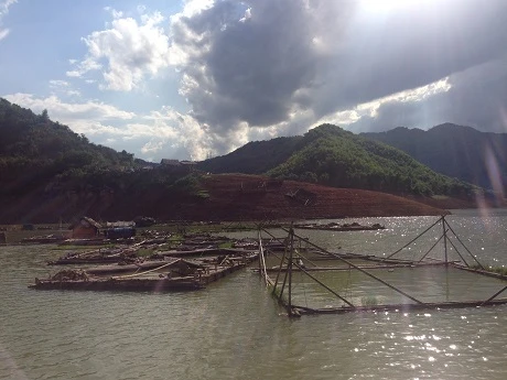 Khu nuôi cá thần của ông Bùi Văn Kế (62 tuổi)