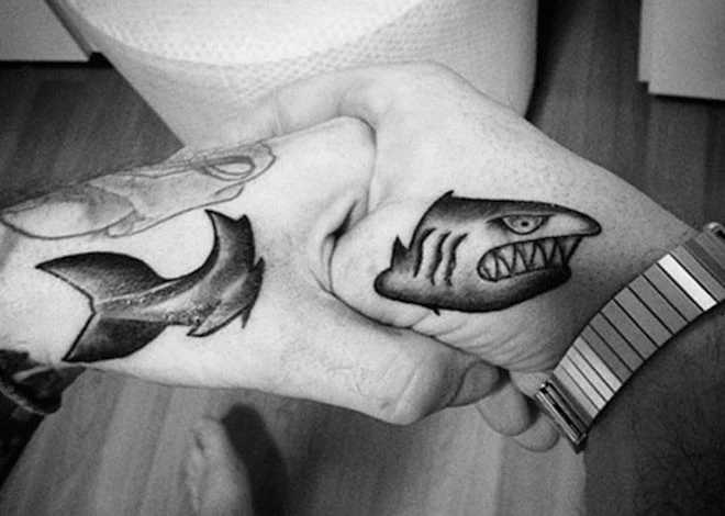 Nhập mô tả cho ảnh