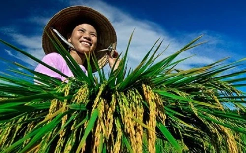 Ngộ ra với tín dụng nông nghiệp nông thôn…