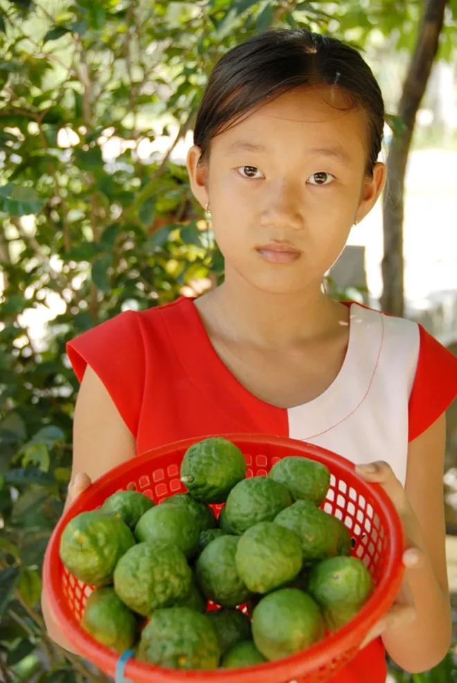 Nhập mô tả cho ảnh