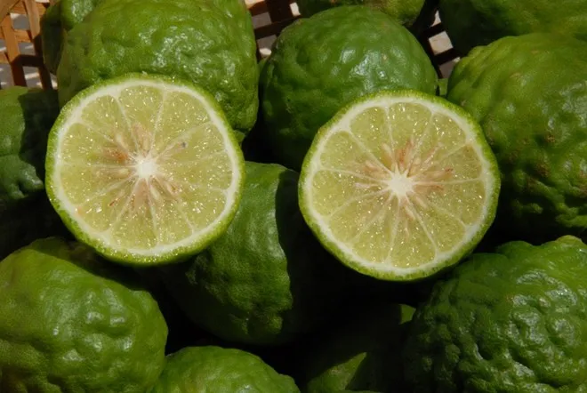 Nhập mô tả cho ảnh