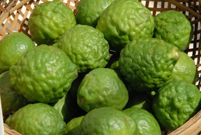 Nhập mô tả cho ảnh