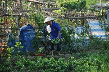 Tương lai của khu đất này đang rất mờ mịt