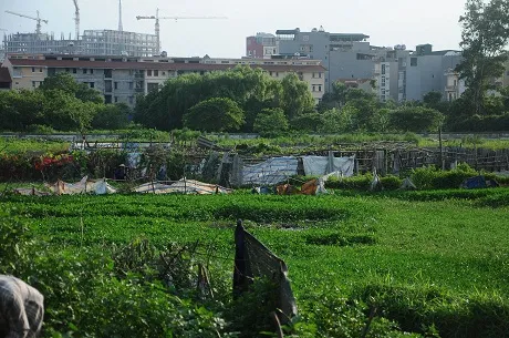 Hà Nội: Cận cảnh dự án cao ốc 100 tầng làm vườn rau