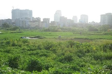 Hà Nội: Cận cảnh dự án cao ốc 100 tầng làm vườn rau
