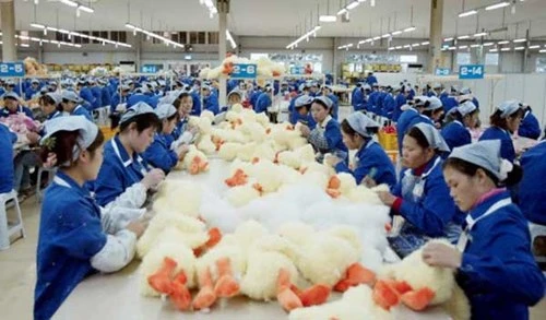 Trung Quốc và Hàn Quốc đối xử với công nhân tệ nhất thế giới ảnh 1