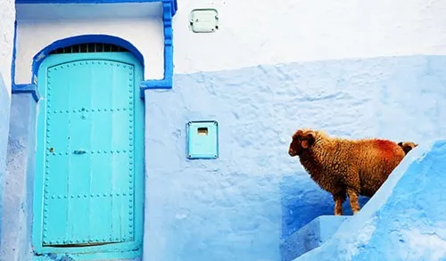 Mê cung xanh ở thị trấn cổ Chefchaouen ảnh 4
