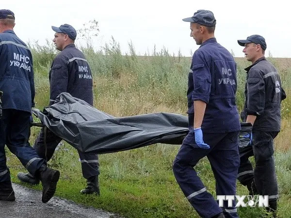 Bắt đầu công tác nhận dạng nạn nhân vụ rơi máy bay MH17 ảnh 1 Bắt đầu công tác nhận dạng nạn nhân vụ rơi máy bay MH17 ảnh 1