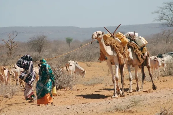 Những đất nước không chào đón khách du lịch ảnh 2