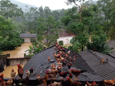 Ảnh vui đời sinh viên ảnh 7