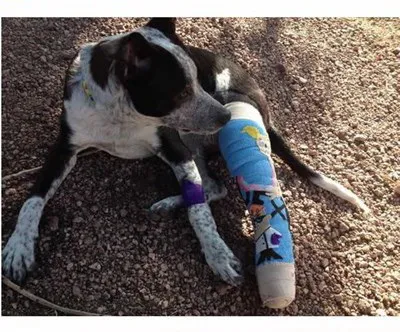 Nghệ thuật trên những cánh tay gãy ảnh 13