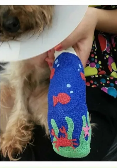 Nghệ thuật trên những cánh tay gãy ảnh 15