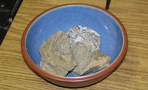 chất nôn, cá nhà táng, cá voi, chất kích dục chất nôn, cá nhà táng, cá voi, chất kích dục