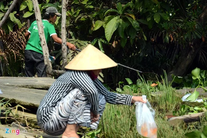 Bất lực nhìn cá chép bị chích điện khi vừa thả