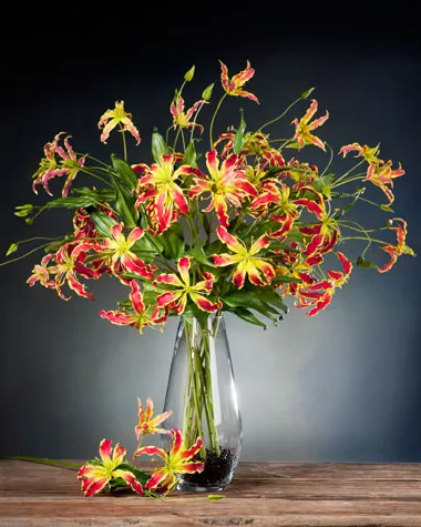 9 loài hoa mắc nhất thế giới ảnh 3 9 loài hoa mắc nhất thế giới ảnh 3