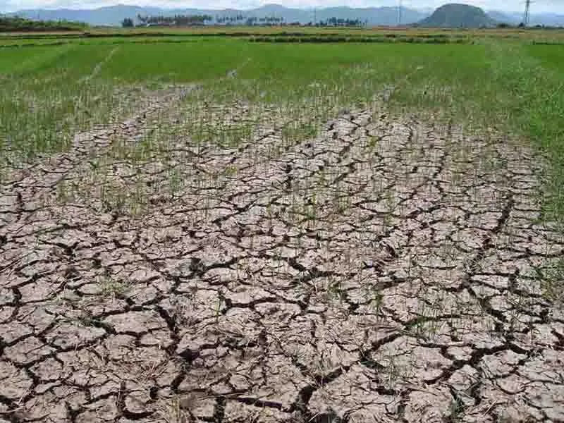 Hãy cứu dòng sông Ba ảnh 15