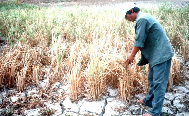 Hãy cứu dòng sông Ba ảnh 17