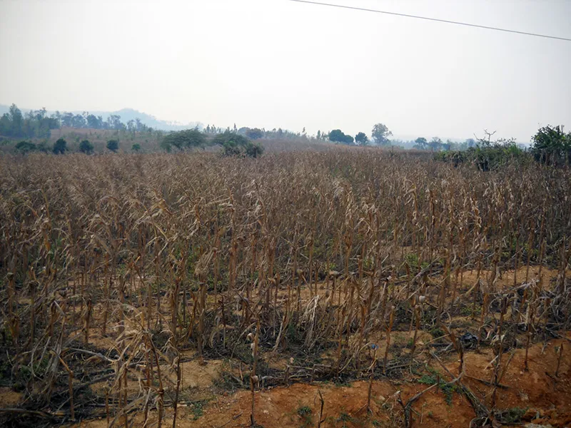 Hãy cứu dòng sông Ba ảnh 19