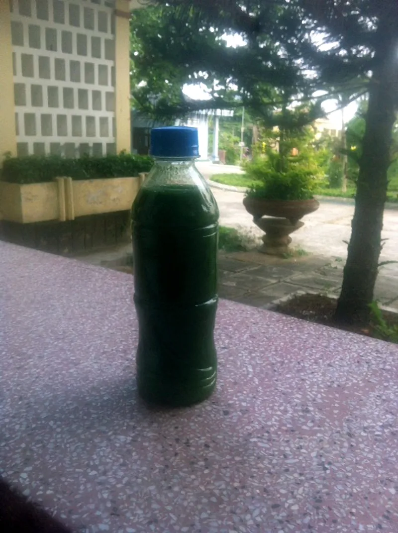 Hãy cứu dòng sông Ba ảnh 2