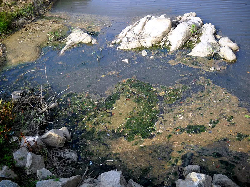 Hãy cứu dòng sông Ba ảnh 5