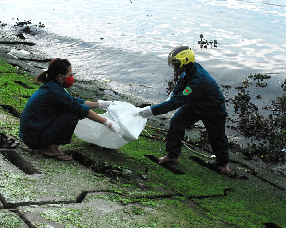 Chùm ảnh: Dân quân thu gom cá biển chết dạt vào bờ ảnh 1 Chùm ảnh: Dân quân thu gom cá biển chết dạt vào bờ ảnh 1