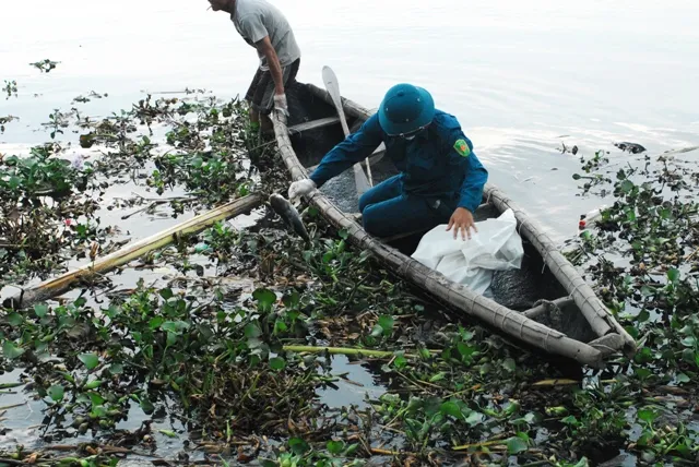 Chùm ảnh: Dân quân thu gom cá biển chết dạt vào bờ ảnh 6 Chùm ảnh: Dân quân thu gom cá biển chết dạt vào bờ ảnh 6