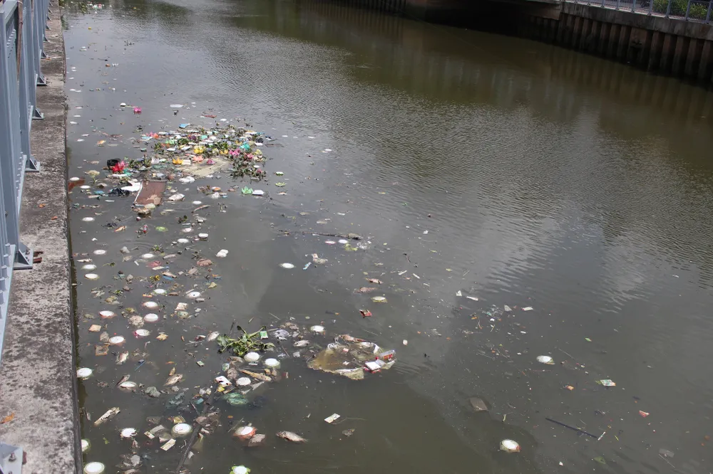 Cá lóp ngóp nổi lên hớp không khí trên kênh Nhiêu Lộc ảnh 3 Cá lóp ngóp nổi lên hớp không khí trên kênh Nhiêu Lộc ảnh 3