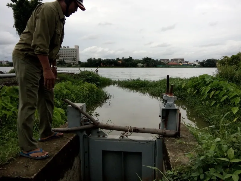  Đếm không xuể hư hỏng ở đê bao sông Sài Gòn ảnh 1