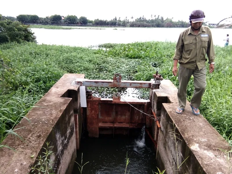  Đếm không xuể hư hỏng ở đê bao sông Sài Gòn ảnh 2