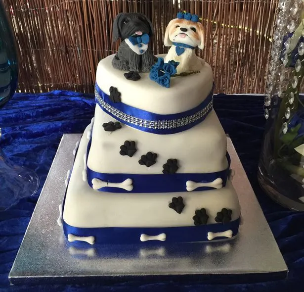 Chiếc bánh cưới 3 tầng được làm từ thức ăn cho cún