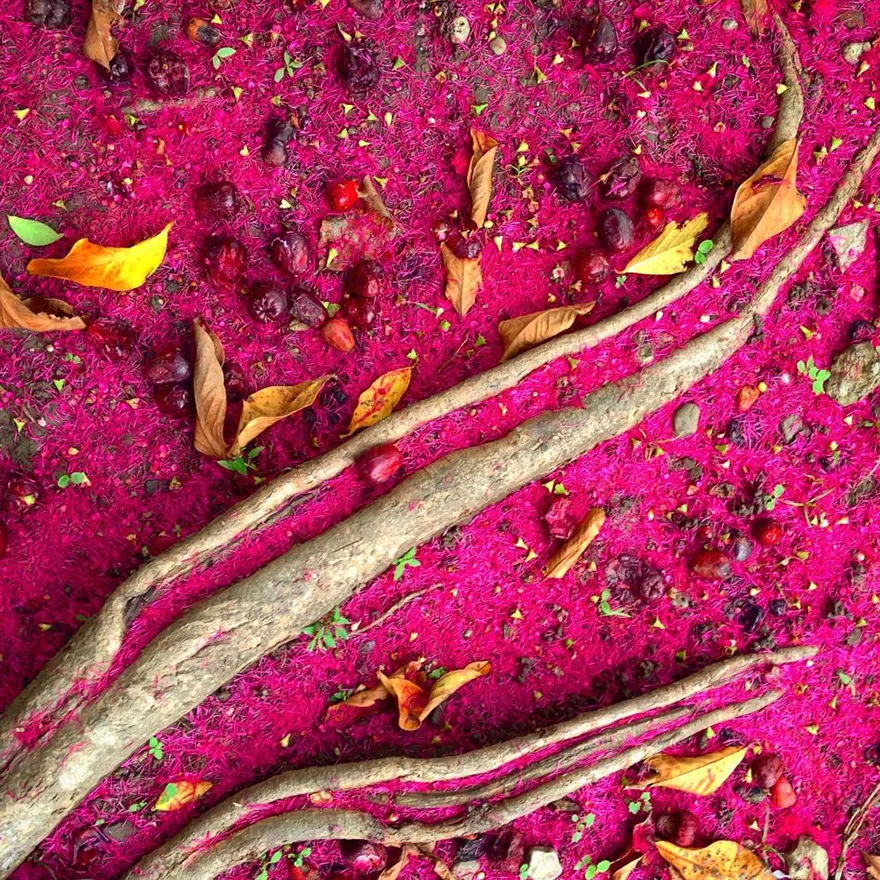 Ảnh chụp tại Philippines, Tác giả:Victor Kintanar