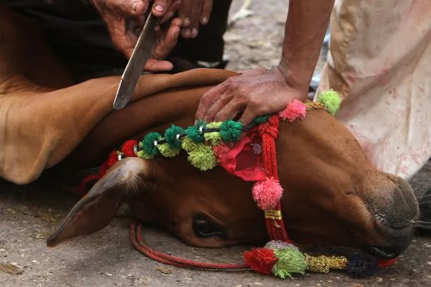 Xuất hiện dòng sông máu tại thủ đô Bangladesh ảnh 7