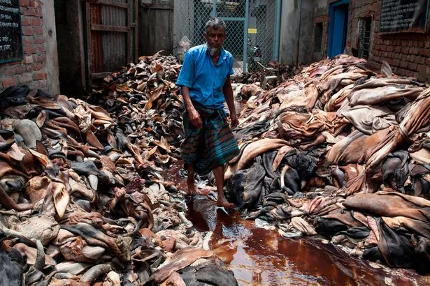 Xuất hiện dòng sông máu tại thủ đô Bangladesh ảnh 9