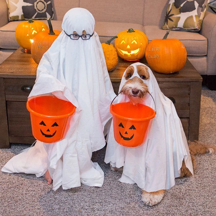 Tan chảy với cặp đôi bé-cún cực đáng yêu ảnh 6