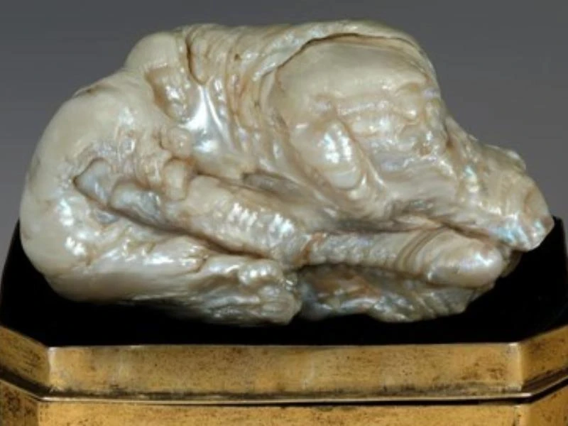 Ngọc trai 'sư tử ngủ' lớn nhất thế giới có giá 8,5 tỉ đồng ảnh 1