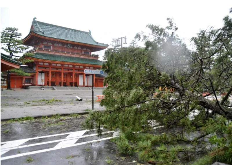 Tan hoang sau khi bão Jebi ập vào Nhật Bản ảnh 6 Tan hoang sau khi bão Jebi ập vào Nhật Bản ảnh 6