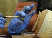 Phát hiện kho 'vũ khí hủy diệt thế giới' tại Ba Lan ảnh 5 Vô tình phát hiện kho báu 'khủng' bên bờ biển Đen