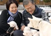 Ông Kim Jong-un tặng 'quà độc' cho quan chức dịp năm mới ảnh 2 Tổng thống Hàn Quốc khoe 'quốc khuyển' ông Kim tặng sinh 6 con