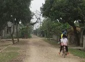 Dắt chó đi dạo cũng bị cấm ảnh 2 Xã cấm chó