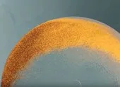 Dò kim loại, tình cờ phát hiện 1,4 kg vàng thô ảnh 2 Đãi cát biển, cặp đôi may mắn tìm được vàng