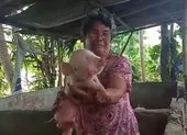 Kì lạ chú lợn sinh ra với 2 đầu, 2 mõm, 3 mắt