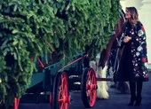 Đệ nhất phu nhân Mỹ đón cây thông Giáng sinh tại Nhà Trắng