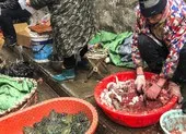 Trung Quốc siết buôn bán động vật hoang dã, ngăn virus Corona