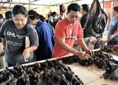Thịt dơi vẫn được bán nhan nhản mặc kệ dịch COVID-19