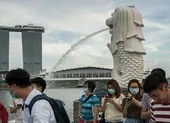 Sai lầm biến Singapore từ hình mẫu thành ổ dịch COVID-19